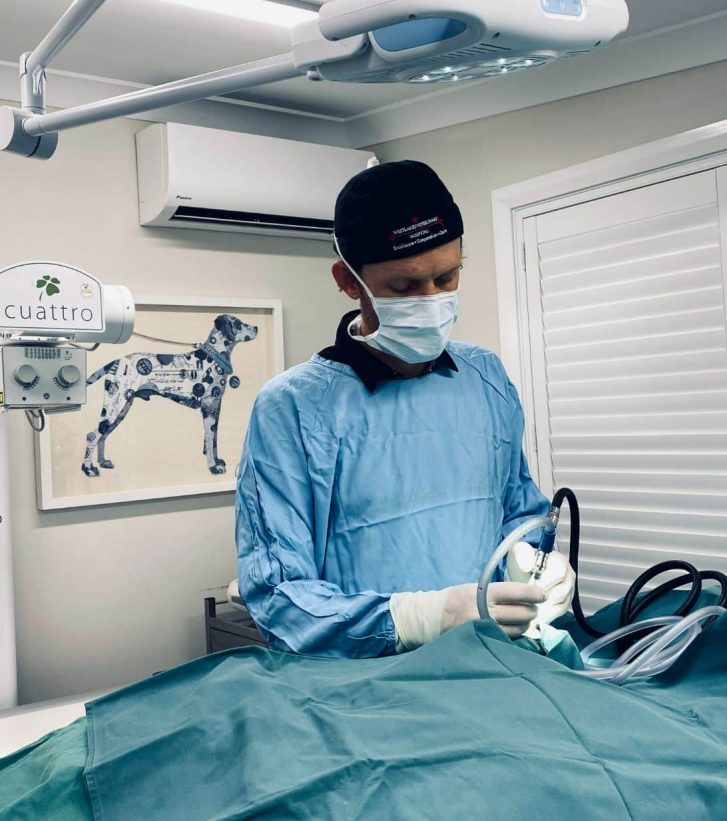 Josh Operating — Veterinary Hospital In Lake Macquarie