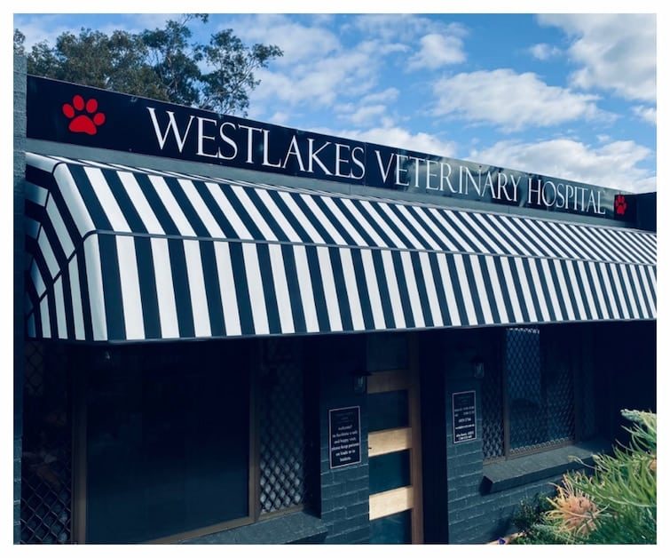 Westlake Veterinary Hospital Shop Front — Veterinary Hospital In Lake Macquarie