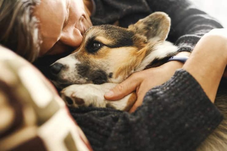 Guy Cuddling A Dog — Veterinary Hospital In Lake Macquarie