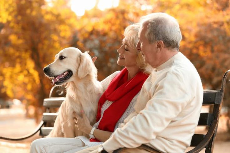Elderly Couple And A Dog — Veterinary Hospital In Lake Macquarie