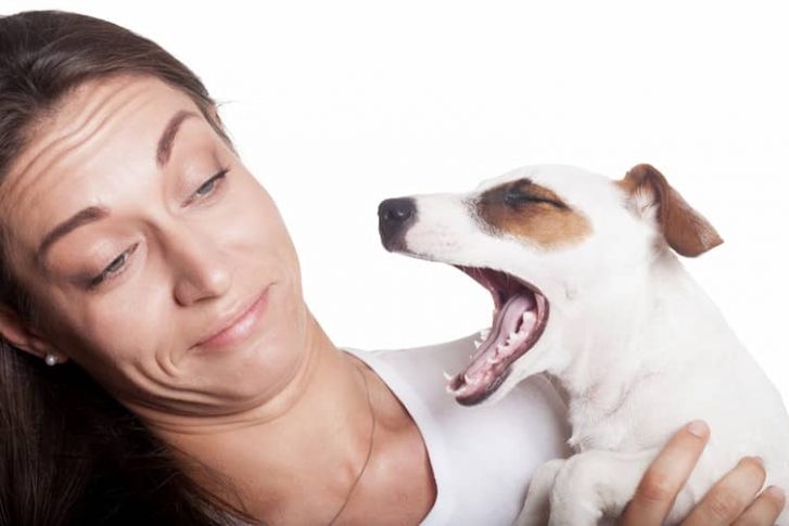 Woman And Dog Yawning — Veterinary Hospital In Lake Macquarie